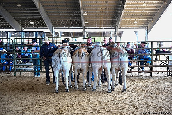 2026 South Texas State Fair 