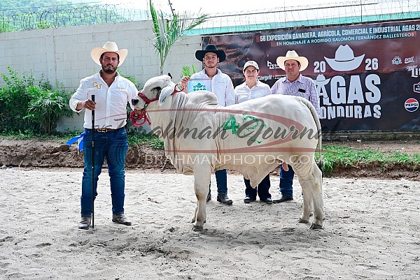 2026 AGAS Honduras National Show
