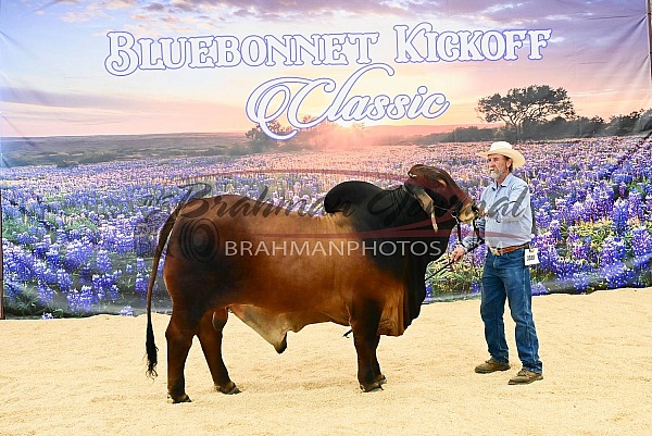 2026 Bluebonnet Kick Off Classic