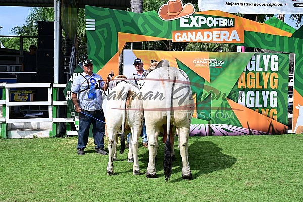 2026 EXPOFERIA GANADERA, ECUADOR